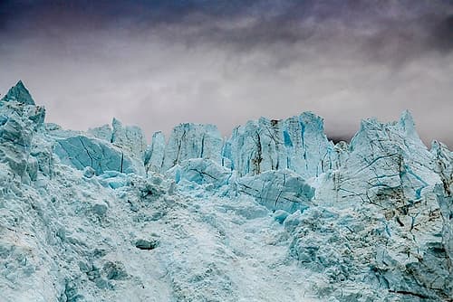 Blue ice characterizes the face of Margerie Glacier. Art Print